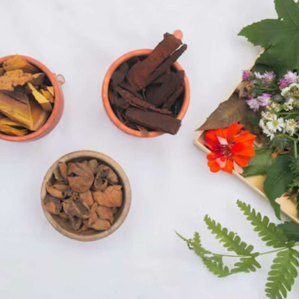 Ayurveda Ksharsutra Treatment for Piles & Fistula